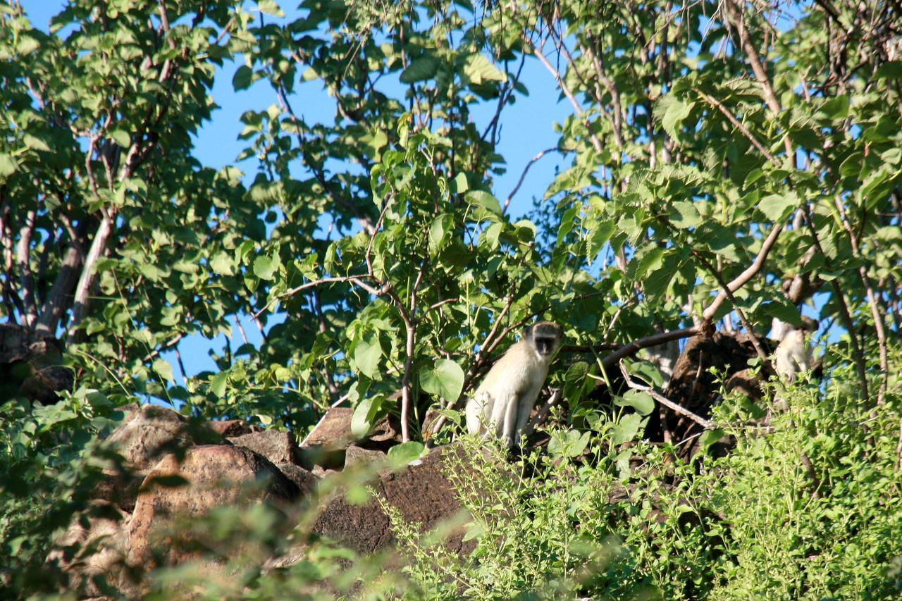 Ghaub Nature Reserve&Farm Grootfontein Exterior foto